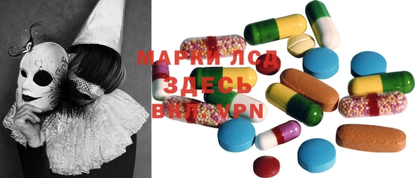 индика Аркадак