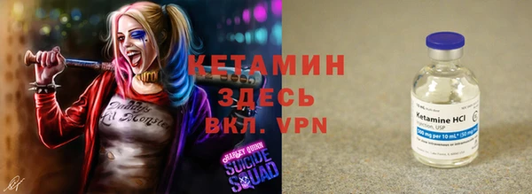 индика Аркадак