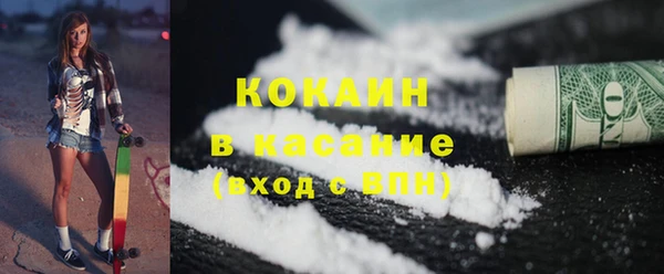 индика Аркадак