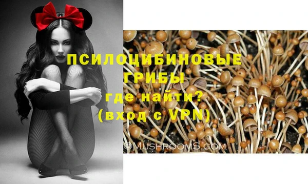 прущий лед Арсеньев