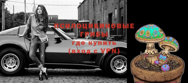 прущий лед Арсеньев