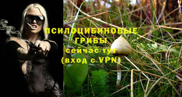 дурь Армянск