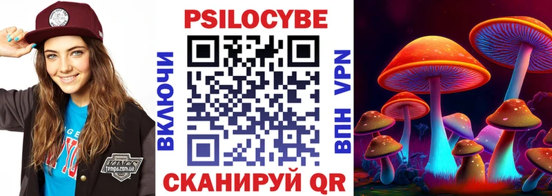 наркота  Маркс  Псилоцибиновые грибы Magic Shrooms 